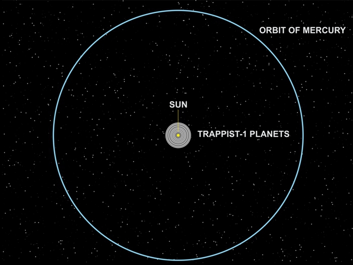 TRAPPIST-1 Compared to Orbit of Mercury